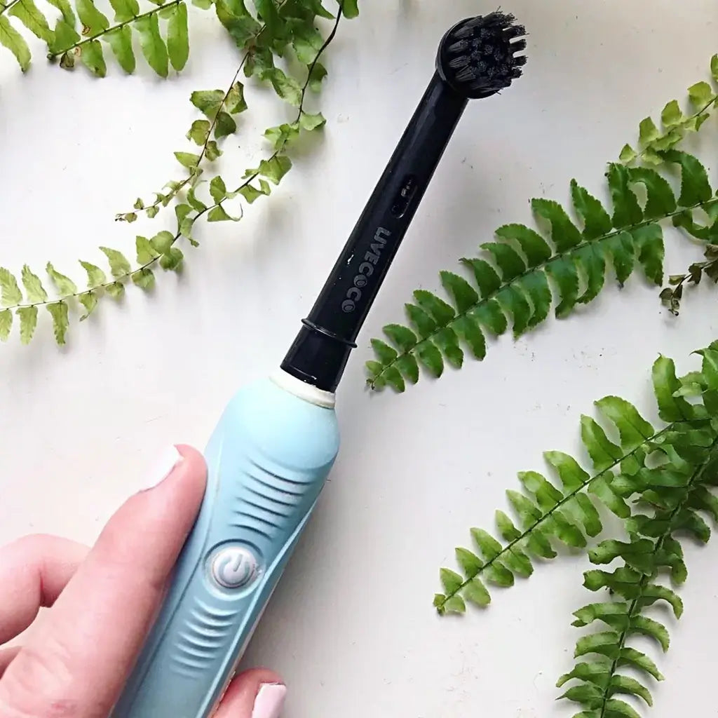 Sustainable Toothbrush Heads + Eco-Floss + FREE GIFTS Today Aapon Mini Market Ltd