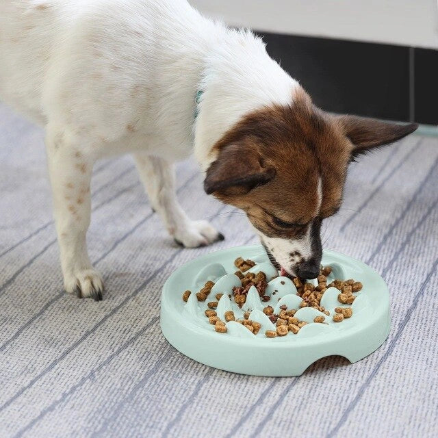Aaponminimarket AntiChoke Dog Bowl Food Bowls