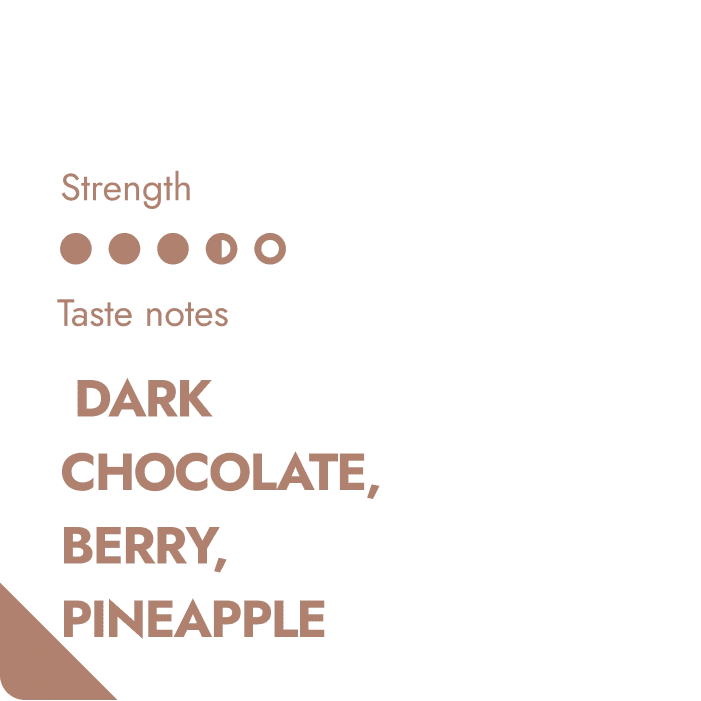 Aaponminimarket Tanzania Specialty Coffee Beans