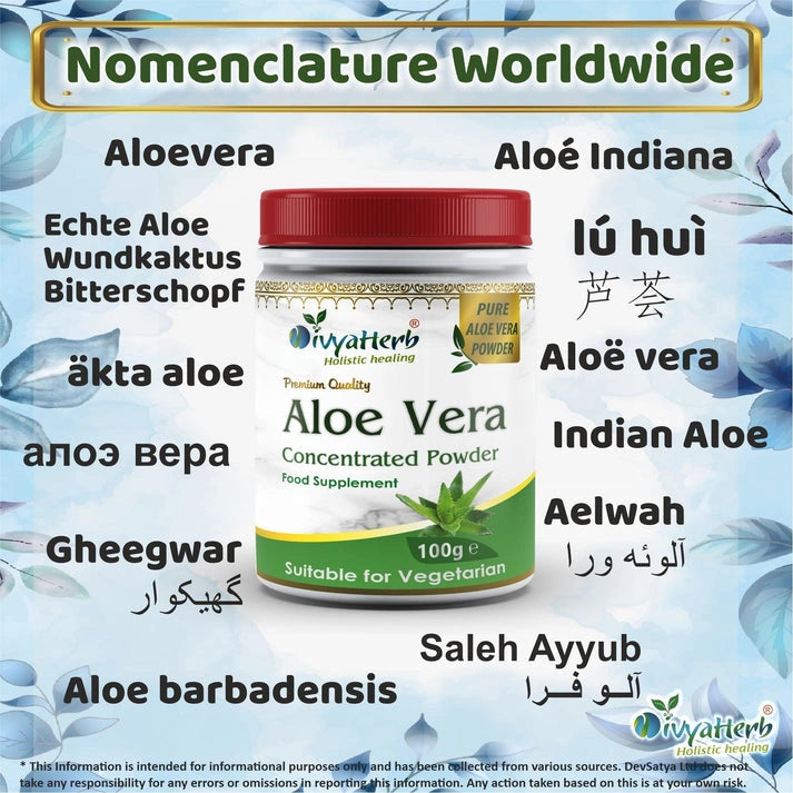 DivyaHerb Aloe Vera Powder 100g for Skin Support
