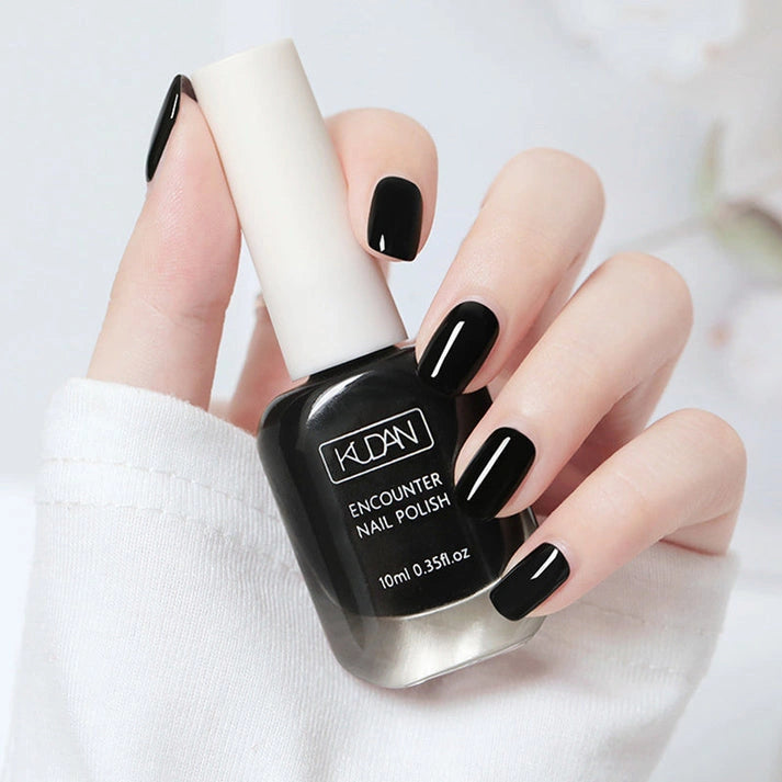 Chic Quick Dry Nail Polish (10ml)