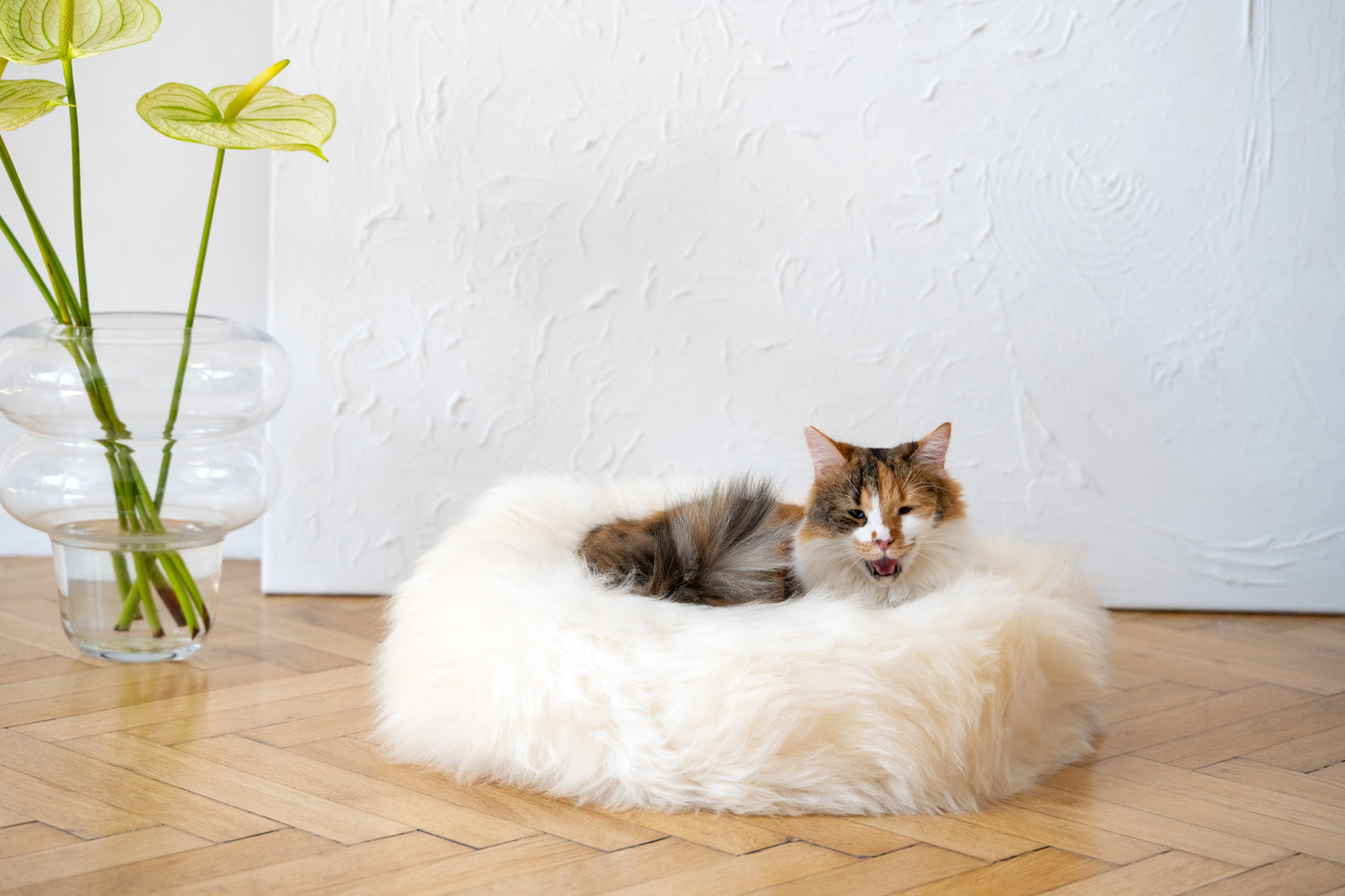 Aapon Mini Market Ltd Round Natural Sheepskin Pet Bed - White