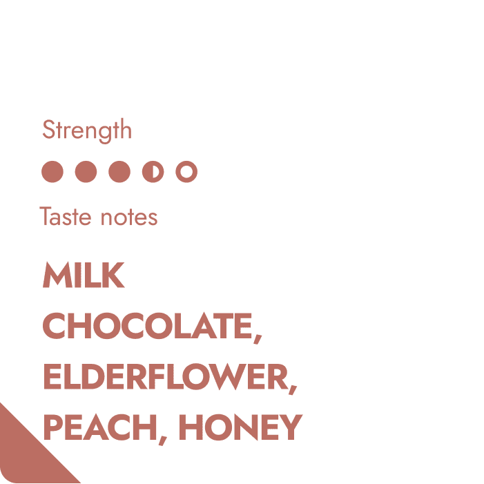 GUATEMALA SPECIALTY COFFEE BEANS