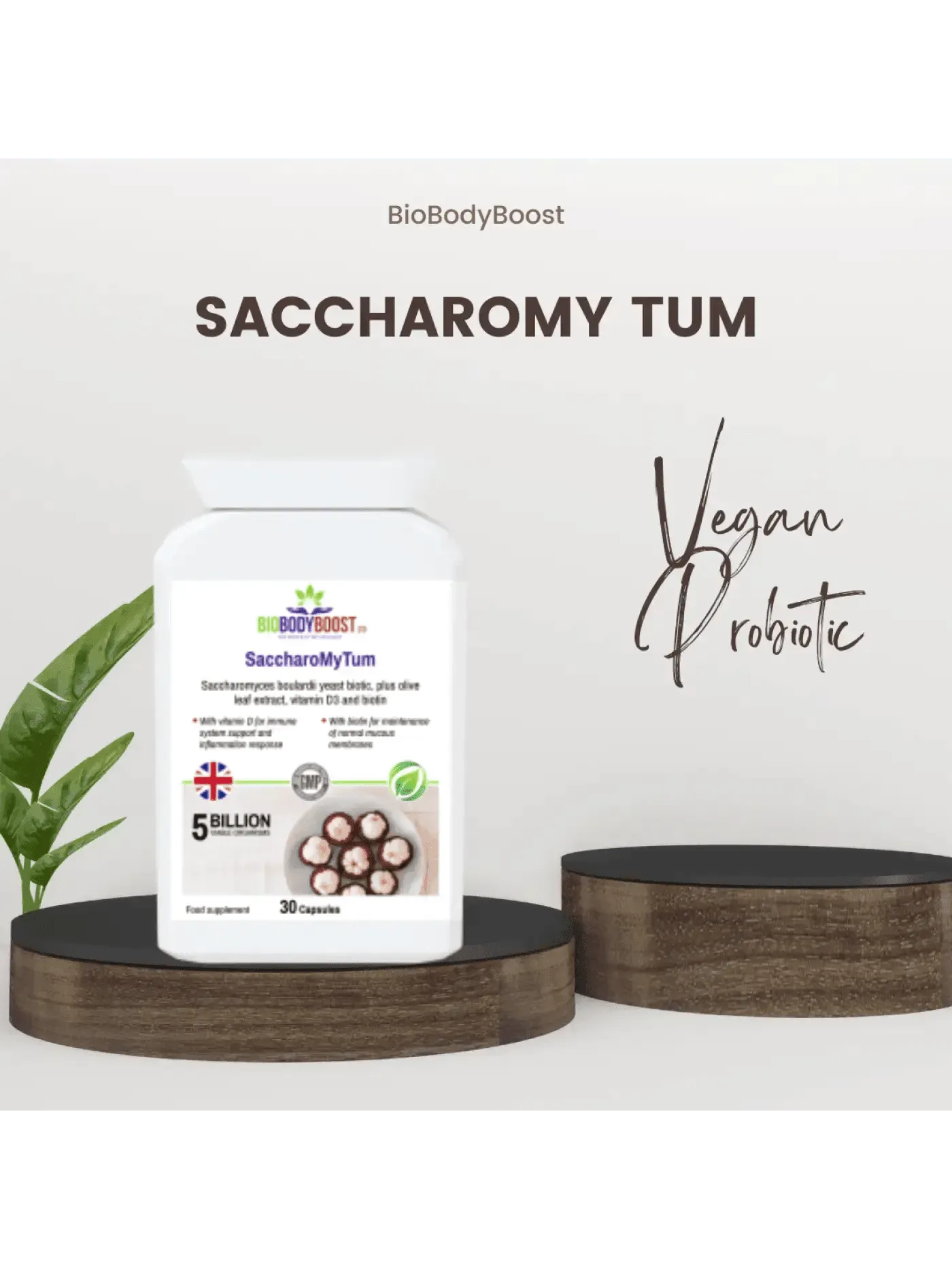 Aaponminimarket Biobodyboost Travel Pack | Wellness Supplements