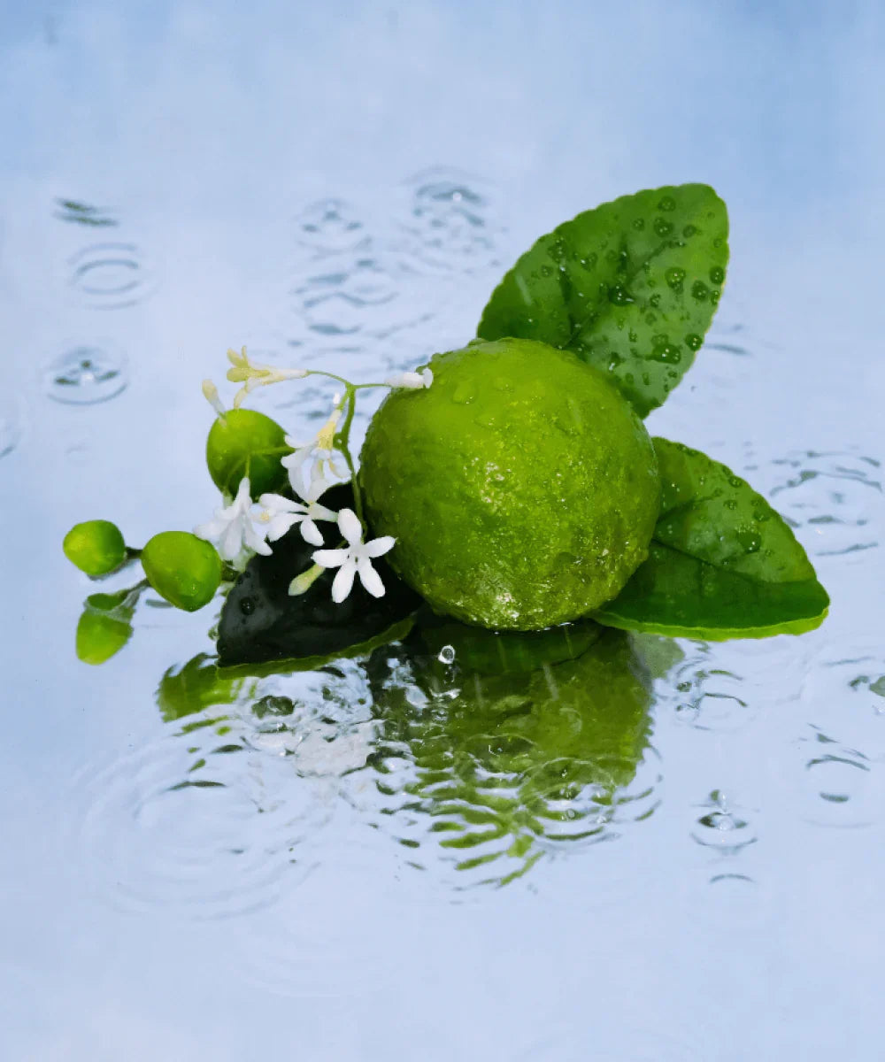 JARDIN SICILIEN 100ml Eau de Parfum | Maissa Perfume UK