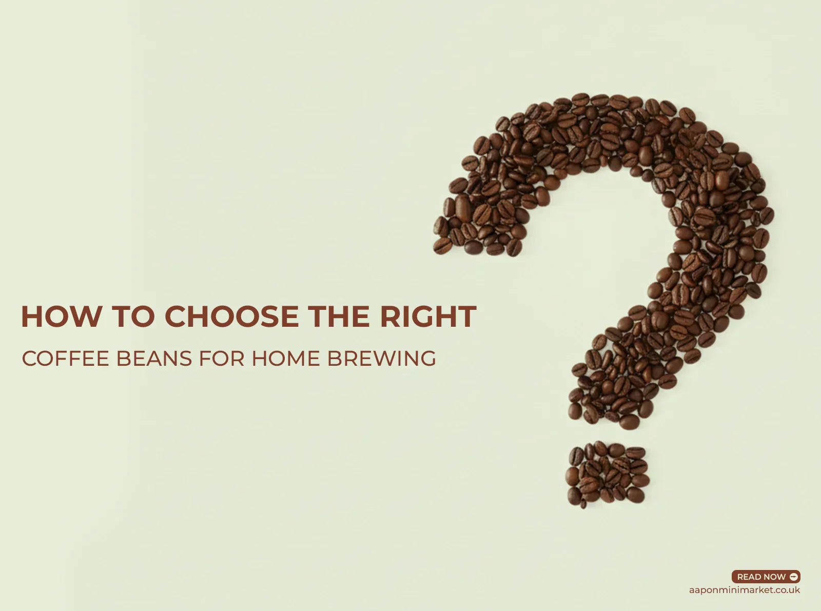 aapon mini market How to Choose the Right Coffee Beans for Home Brewing