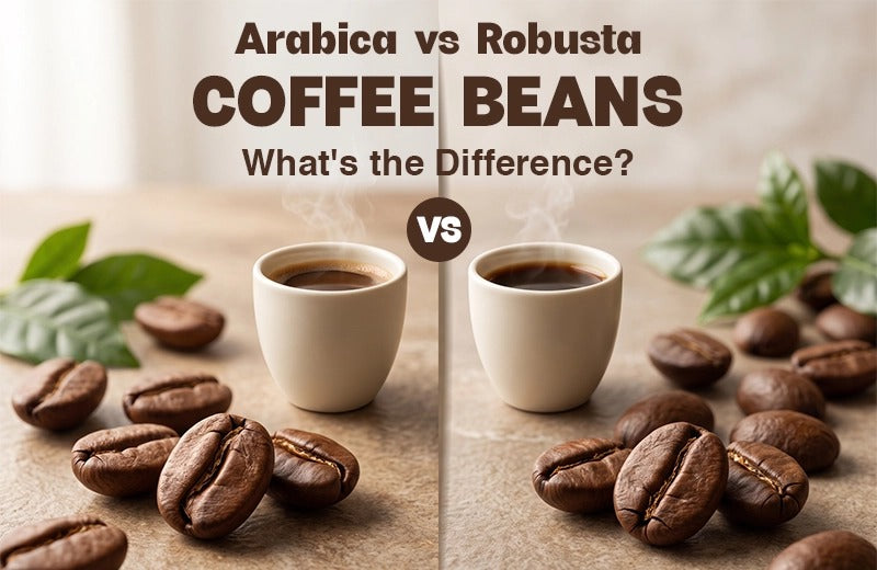 Arabica vs Robusta coffee beans : What's the Difference?