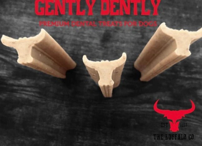 Aaponminimarket Gently Dently- Chicken Dental Treats for Dogs 175g