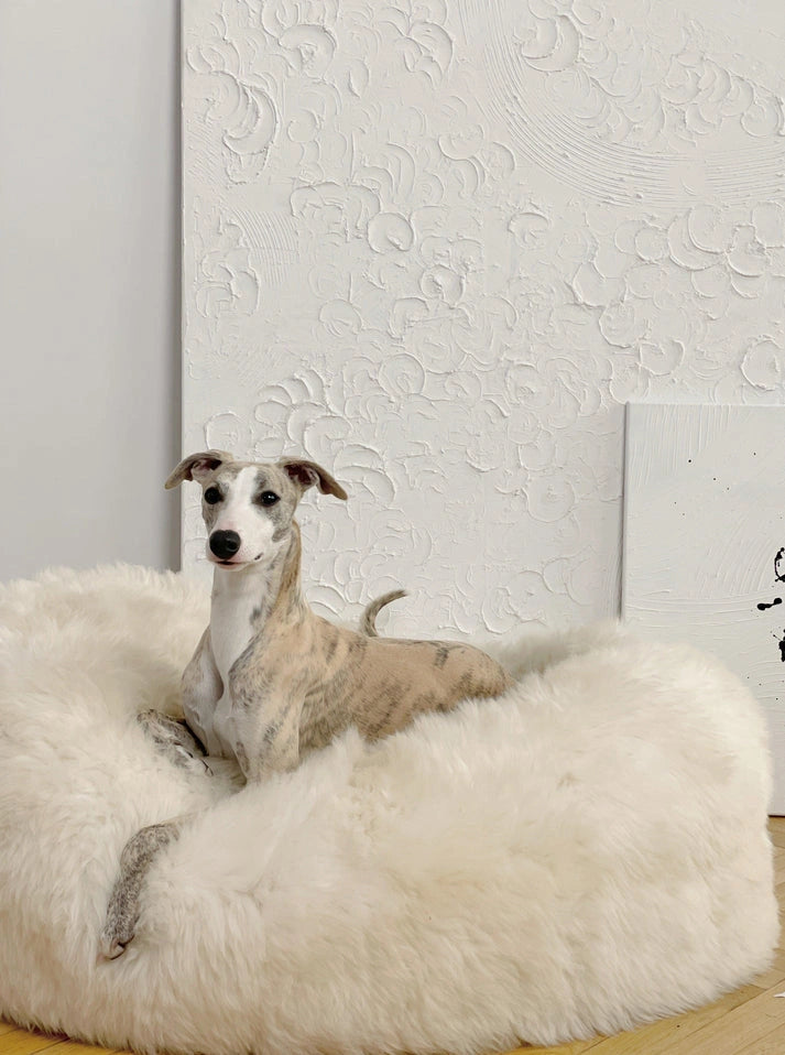 Aaponminimarket Oval Natural Sheepskin Pet Bed (White)