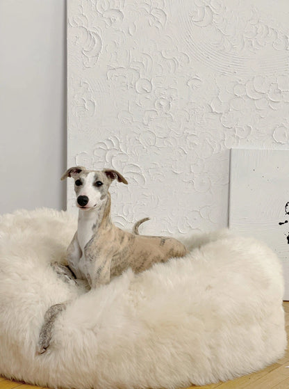 Aaponminimarket Oval Natural Sheepskin Pet Bed (White)