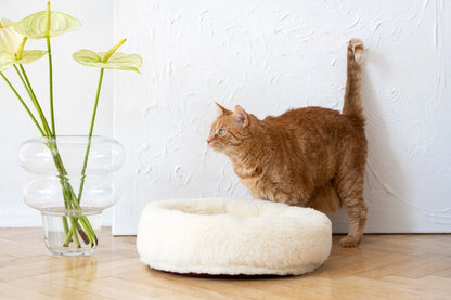 Aaponminimarket Round Natural Wool Pet Bed - White
