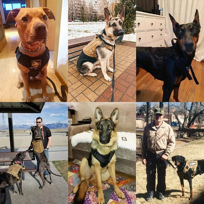 Aaponminimarket Tactical Dog Harness