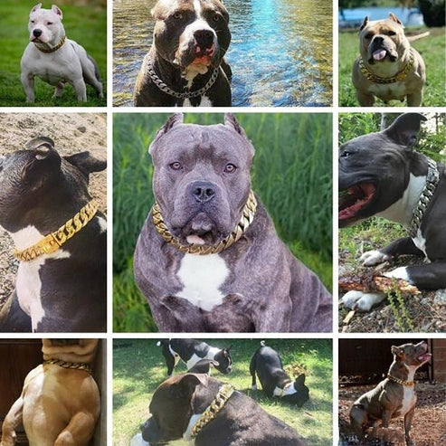 Aaponminimarket 32MM Strong Metal Dog Chain Collars