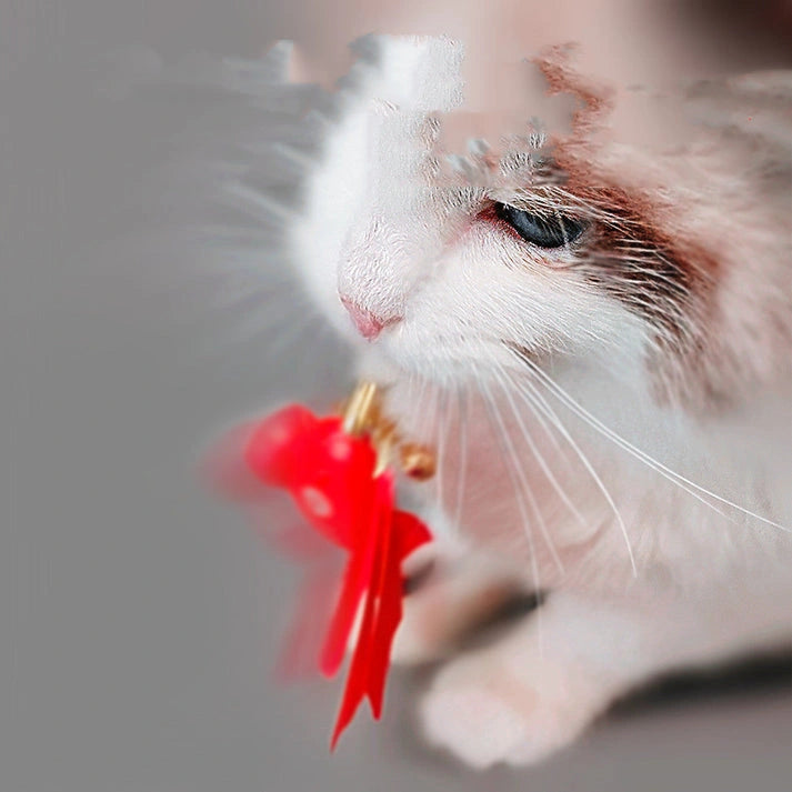 Aaponminimarket Smart Cat Playtime Set