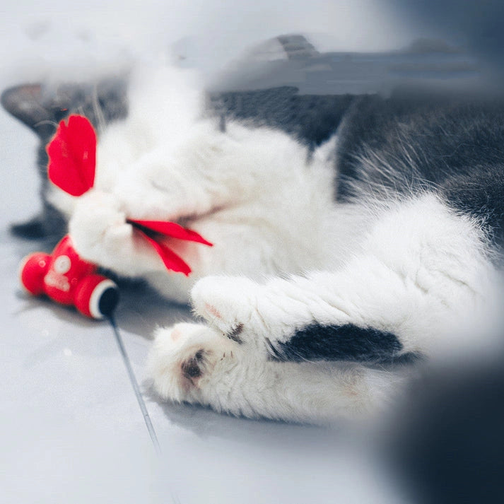 Aaponminimarket Smart Cat Playtime Set