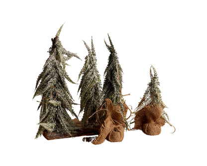 Set of three frosted artificial Christmas trees with hessian-wrapped bases