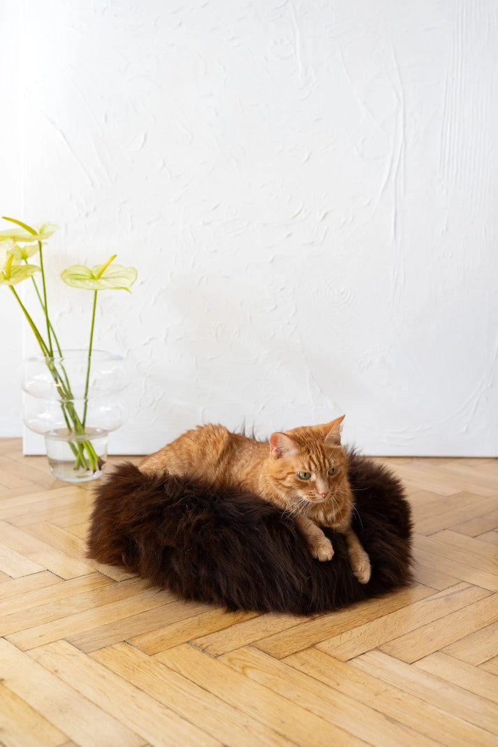 Aaponminimarket Round Natural Sheepskin Pet Bed (Brown)