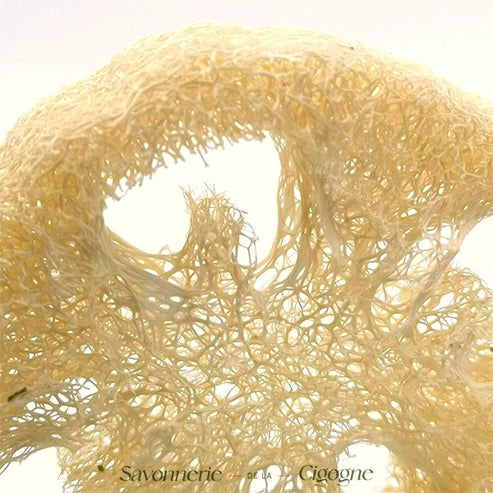 Aaponminimarket Natural Loofah Body Sponge