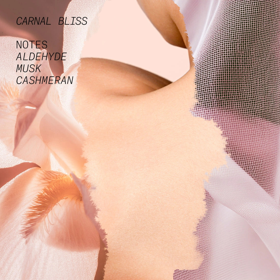 Aaponminimarket CARNAL BLISS EAU DE PARFUM
