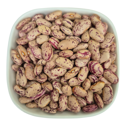 Premium Quality Organic White Kidney Beans