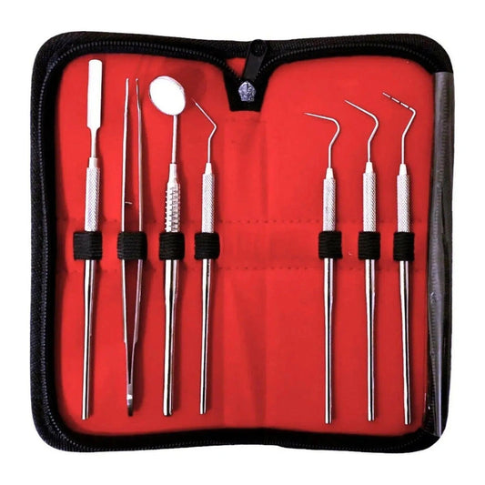 7-Piece Dental Scaler Kit