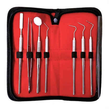 7-Piece Dental Scaler Kit