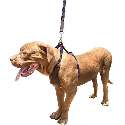 ARECO - Polo Dog Harness & Lead Set