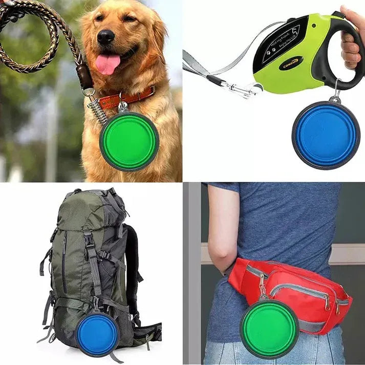 Aapon Mini Market Foldable Silicone Pet Bowl with Carabiner – For Food & Water