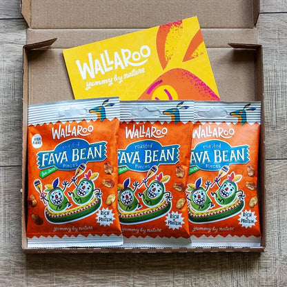 Aapon Mini Market Sea Salt Roasted Fava Beans