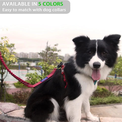 Aaponminimarket 4 in 1 Shock Absorbing Dog Leash