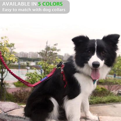 Aaponminimarket 4 in 1 Shock Absorbing Dog Leash