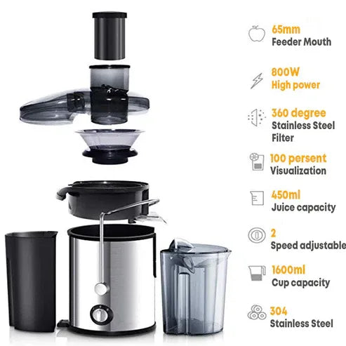 Aaponminimarket 800W Stainless Steel Juicer