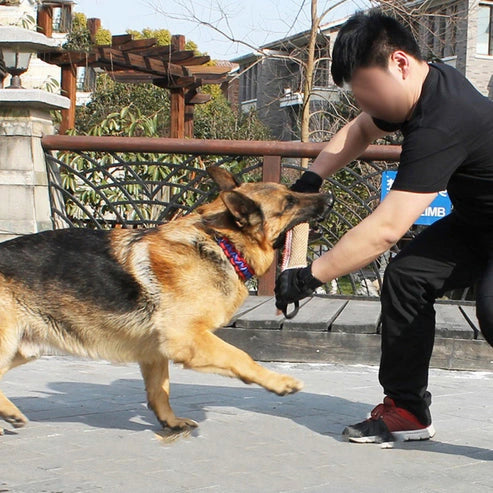 Aaponminimarket Biting Dog Training Professional Working Dog
