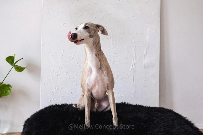 Aaponminimarket Black Sheepskin Pet Bed