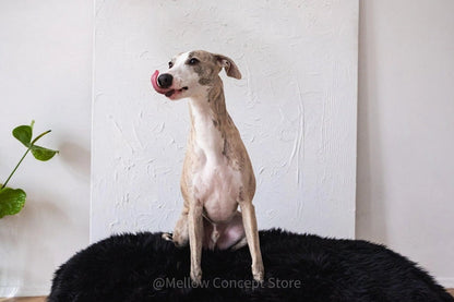 Aaponminimarket Black Sheepskin Pet Bed