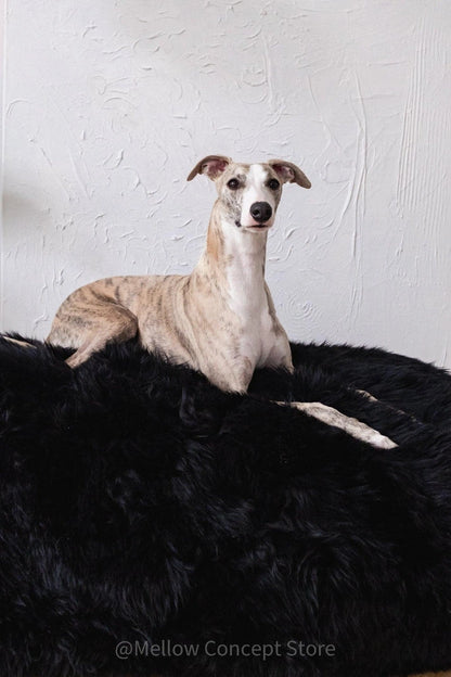 Aaponminimarket Black Sheepskin Pet Bed