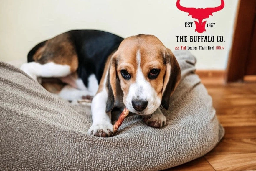 Aaponminimarket Buffalo Tail-Dog Treats-200g