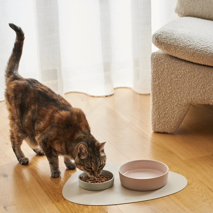 Aaponminimarket Cat Bowls