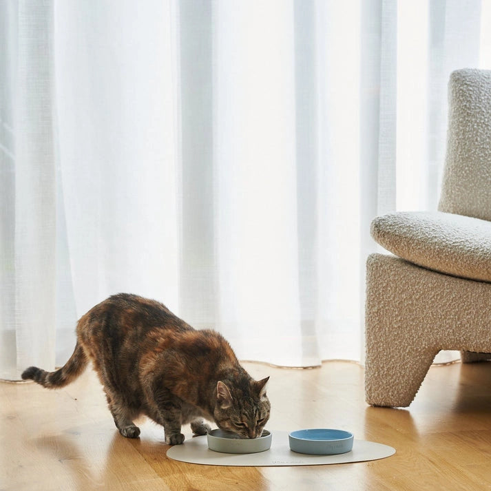 Aaponminimarket Cat Bowls