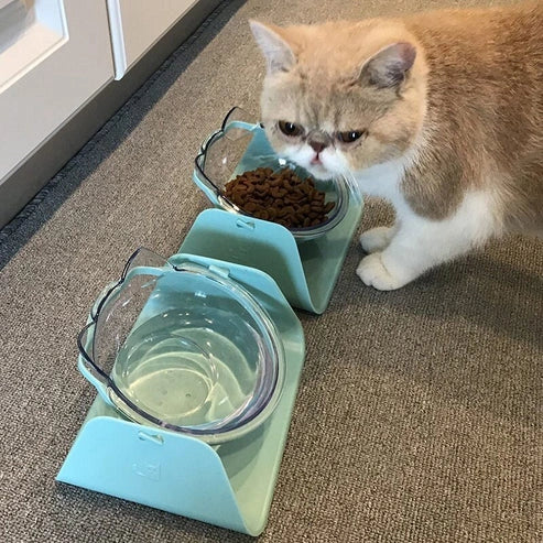 Aaponminimarket Cat & Dog Feeding Bowl With Raised Stand