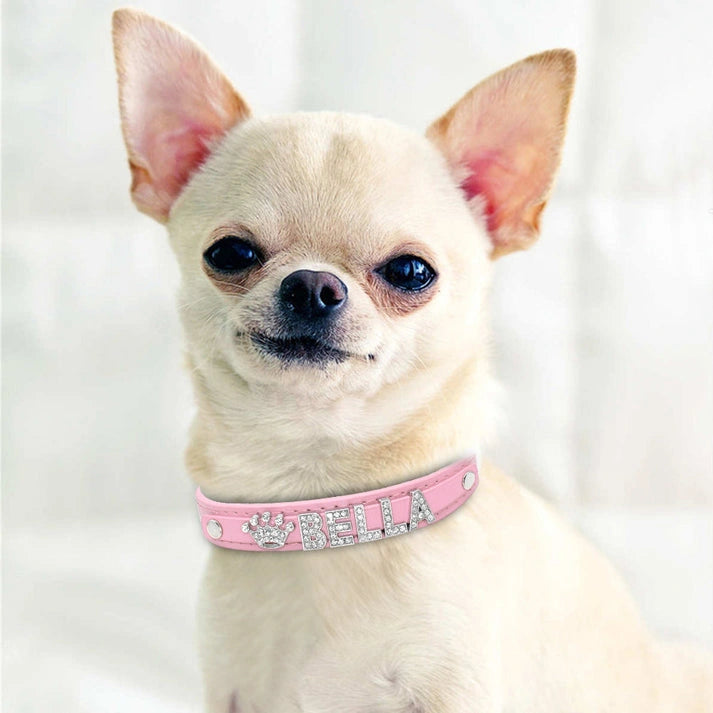 Aaponminimarket Cat and Small Dog Collar
