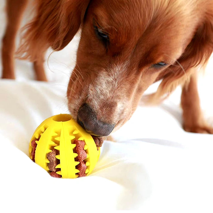 Aaponminimarket Chew & Treat Ball for Dogs