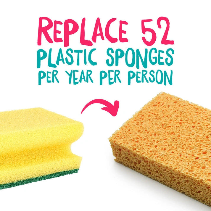 Aaponminimarket Compostable Cellulose Sponges