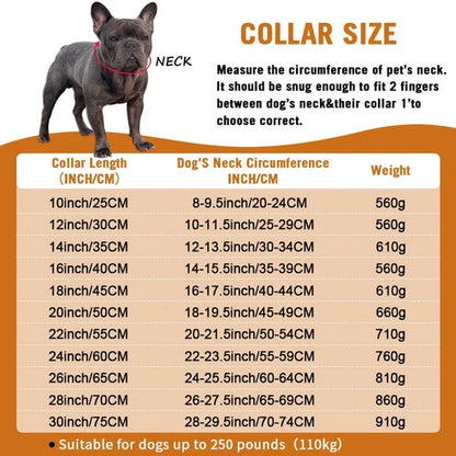 Aaponminimarket Cuban Chain Dogs Collar