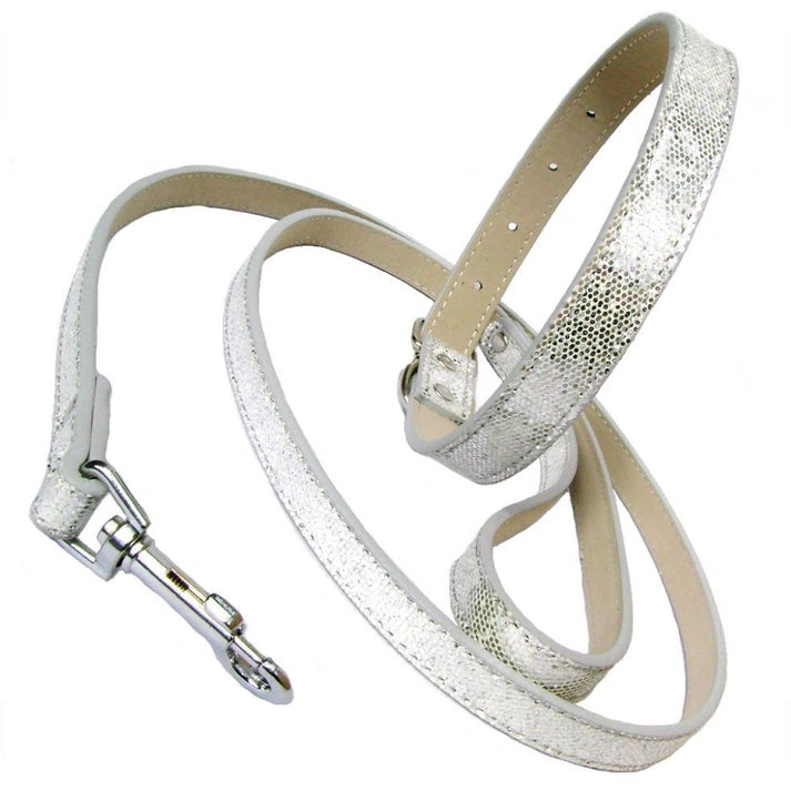 Aaponminimarket Disco Fever Dog Collar Lead Set