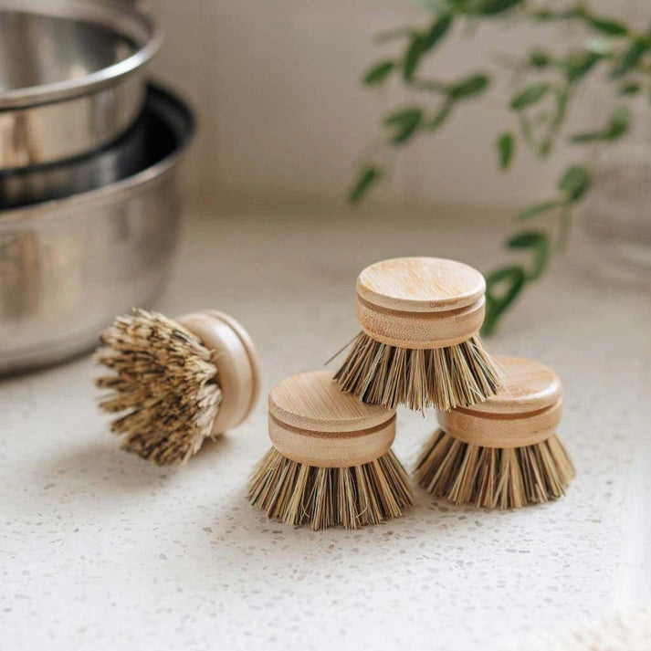 Aaponminimarket Dish Brush Refill Heads (4-Pack)