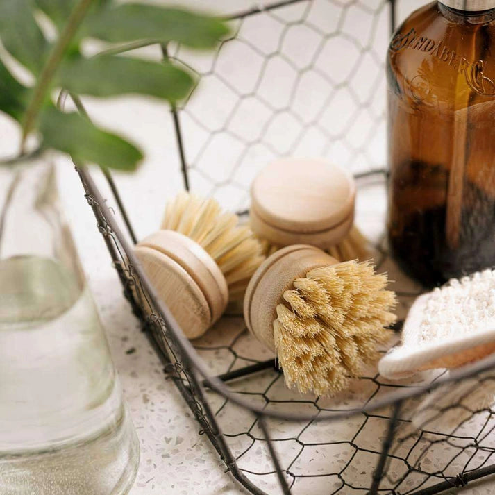 Aaponminimarket Dish Brush Refill Heads (4-Pack)