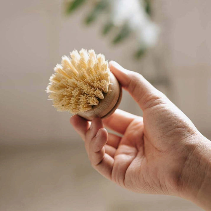 Aaponminimarket Dish Brush Refill Heads (4-Pack)