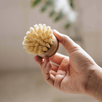 Aaponminimarket Dish Brush Refill Heads (4-Pack)