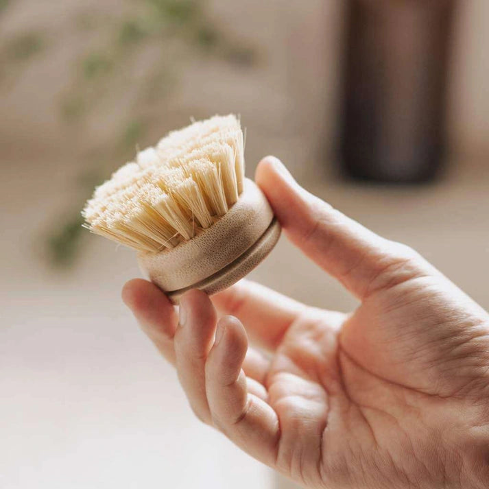 Aaponminimarket Dish Brush Refill Heads (4-Pack)